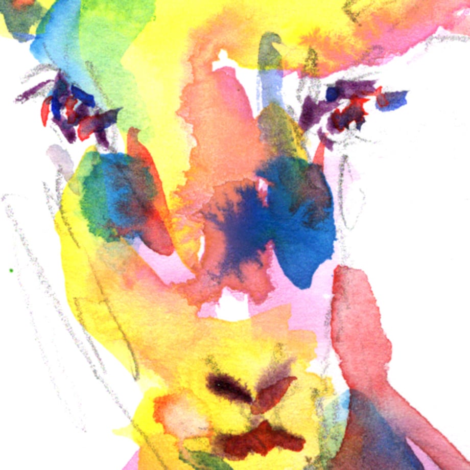 6013c353c19c4570a058270e
