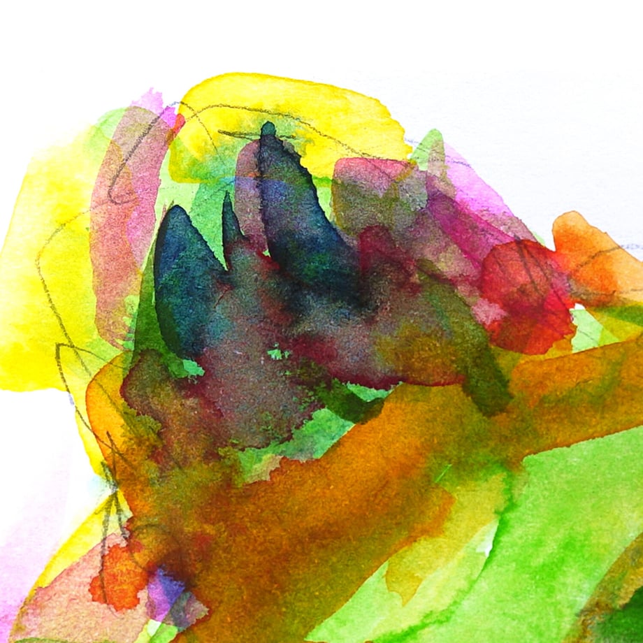 64fdbf00a30c09002b6a6826