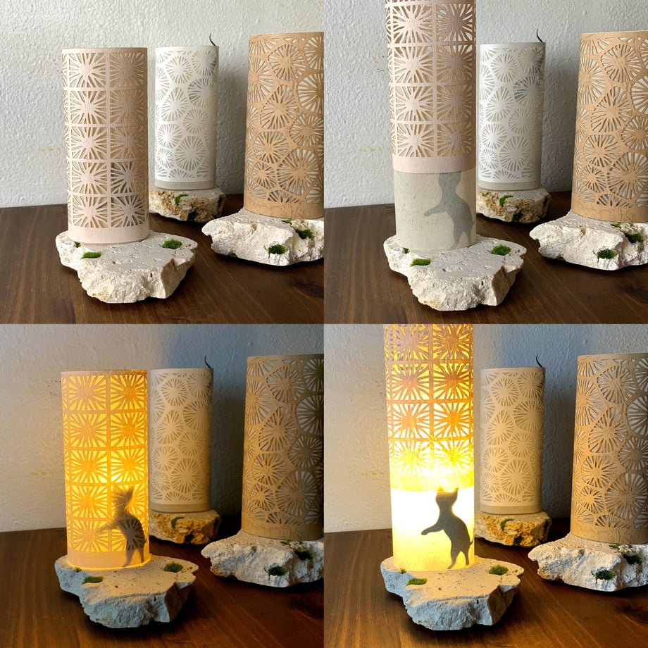 6193841a0c984677c9206924