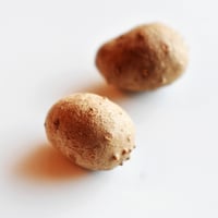 山芋のあかちゃん ” むかご ”　  1kg  青森県2024年産