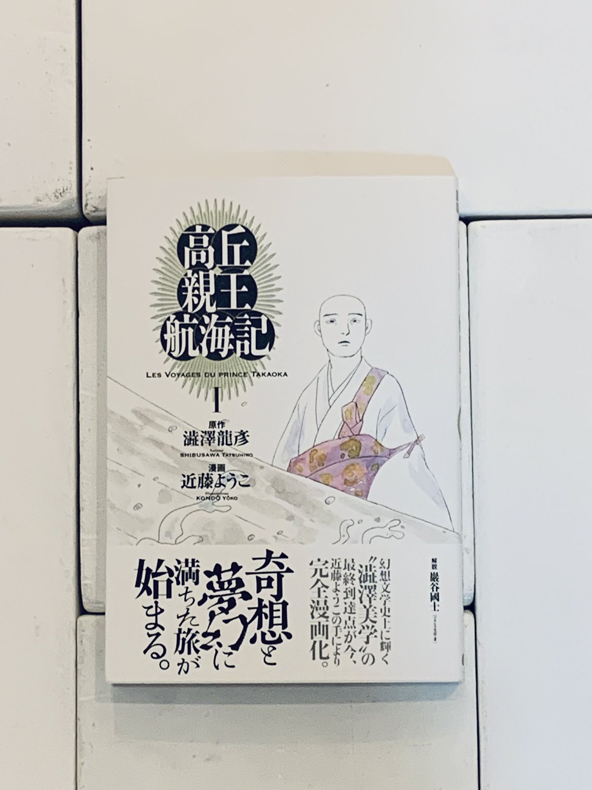 【直筆イラスト入りサイン本】近藤ようこ 高丘親王航海記 1〜4全巻セット澁澤龍彦 近藤ようこイラスト入りサイン本『高丘親王航海記 II』 | ビリケン