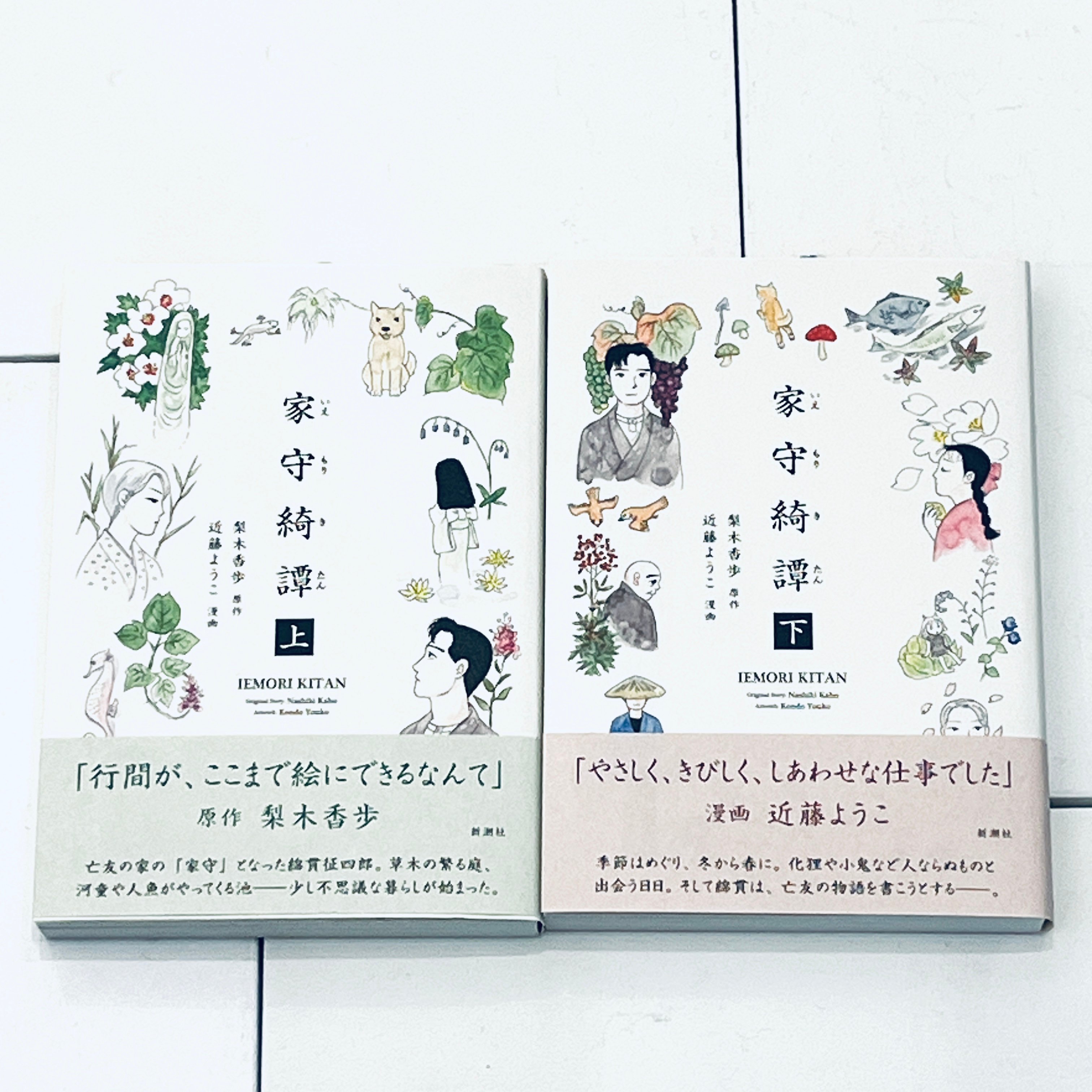 近藤ようこイラスト入りサイン本『家守綺譚』(上下セット) | ビリケン