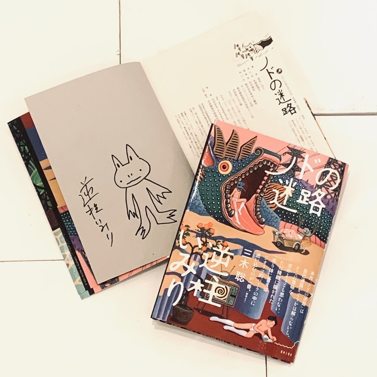 逆柱いみりイラスト入りサイン本『ノドの迷路』 | ビリケンギャラリー