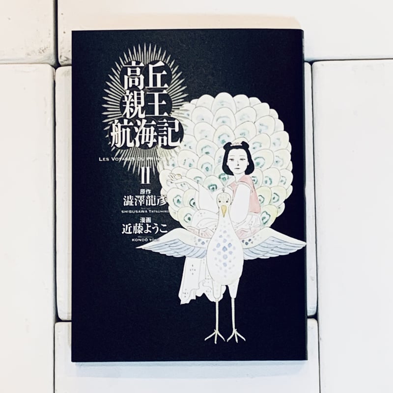 近藤ようこイラスト入りサイン本『高丘親王航海記 II』 | ビリケン