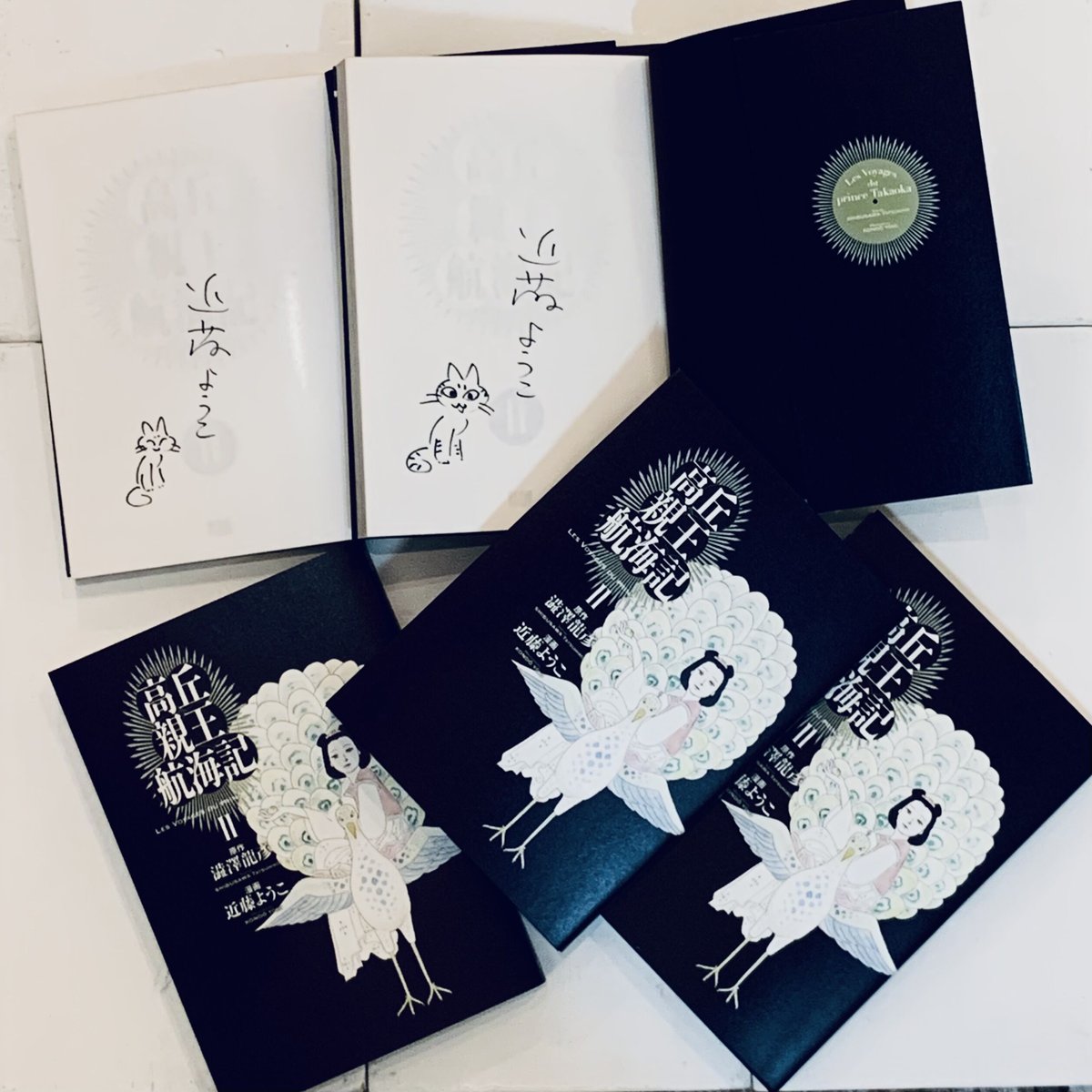 近藤ようこイラスト入りサイン本『高丘親王航海記 II