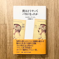僕はどうやってバカになったか