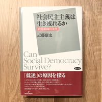社会民主主義は生き残れるか──政党組織の条件