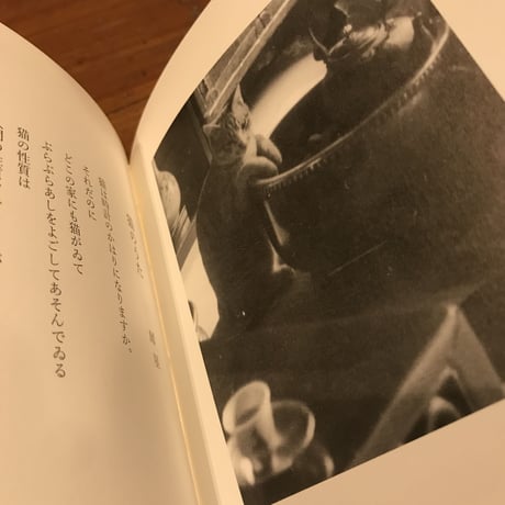 【新本】室生家には猫がゐて　愛猫白黒写真集（表紙：黒猫アベル）
