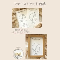 ファーストカット台紙