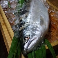 【生鮮】サツキマス 1尾　※5月のみ