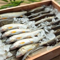 【生鮮・ナマ】天然鮎  500g / 皇室献上御料場付近