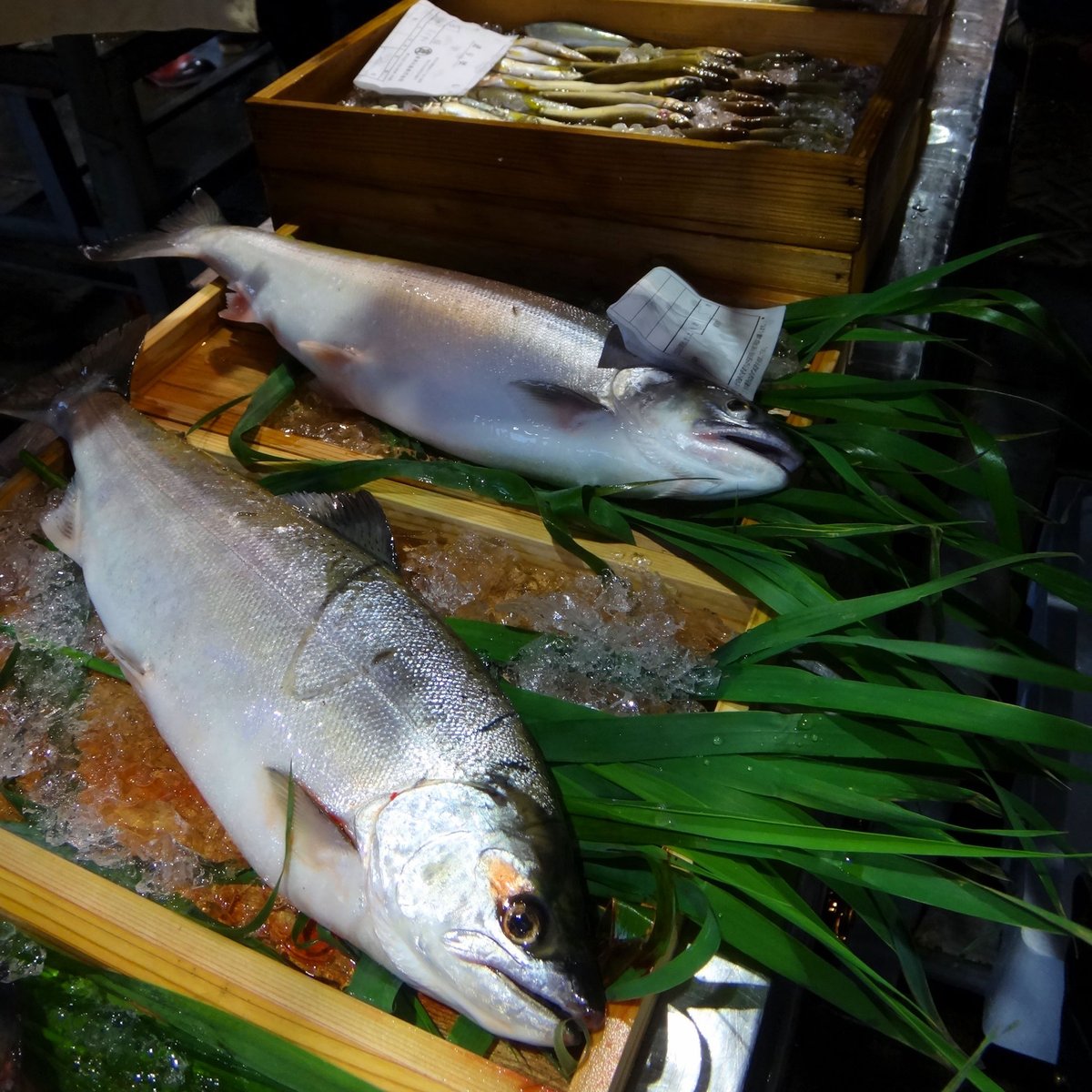 生鮮】サツキマス 1尾 ※5月のみ | YUIFUNE STORE