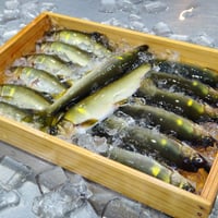 【急速冷凍】R8.6月水揚げ 天然鮎 1尾（19-21cm）