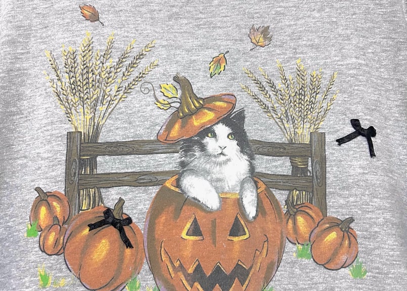 スウェット トレーナー ネコ ねこ 動物 カボチャ パンプキン