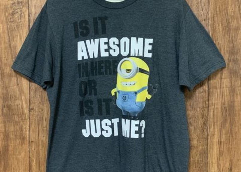 アメリカ USA 古着 ミニオンズ Tシャツ 半袖 キャラクター used
