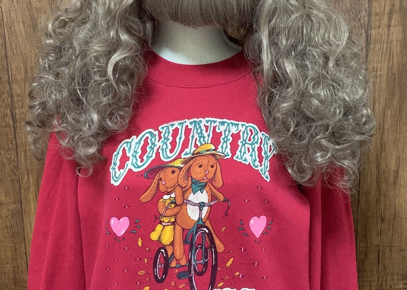 90年代 90s TULTEX スウェット スエット トレーナー 赤 カントリー