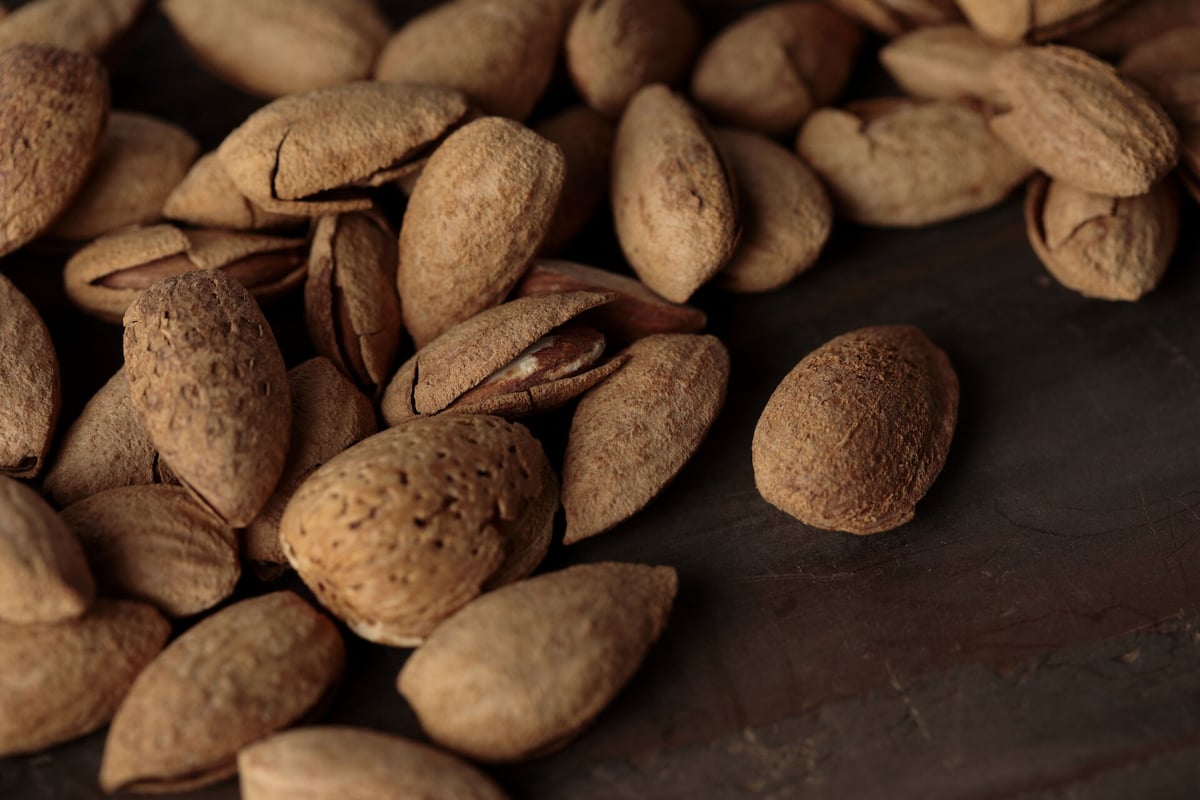 殻付きアーモンド 160g 自家焙煎 ※送料全国一律200円 | 粉屋珈琲 通販