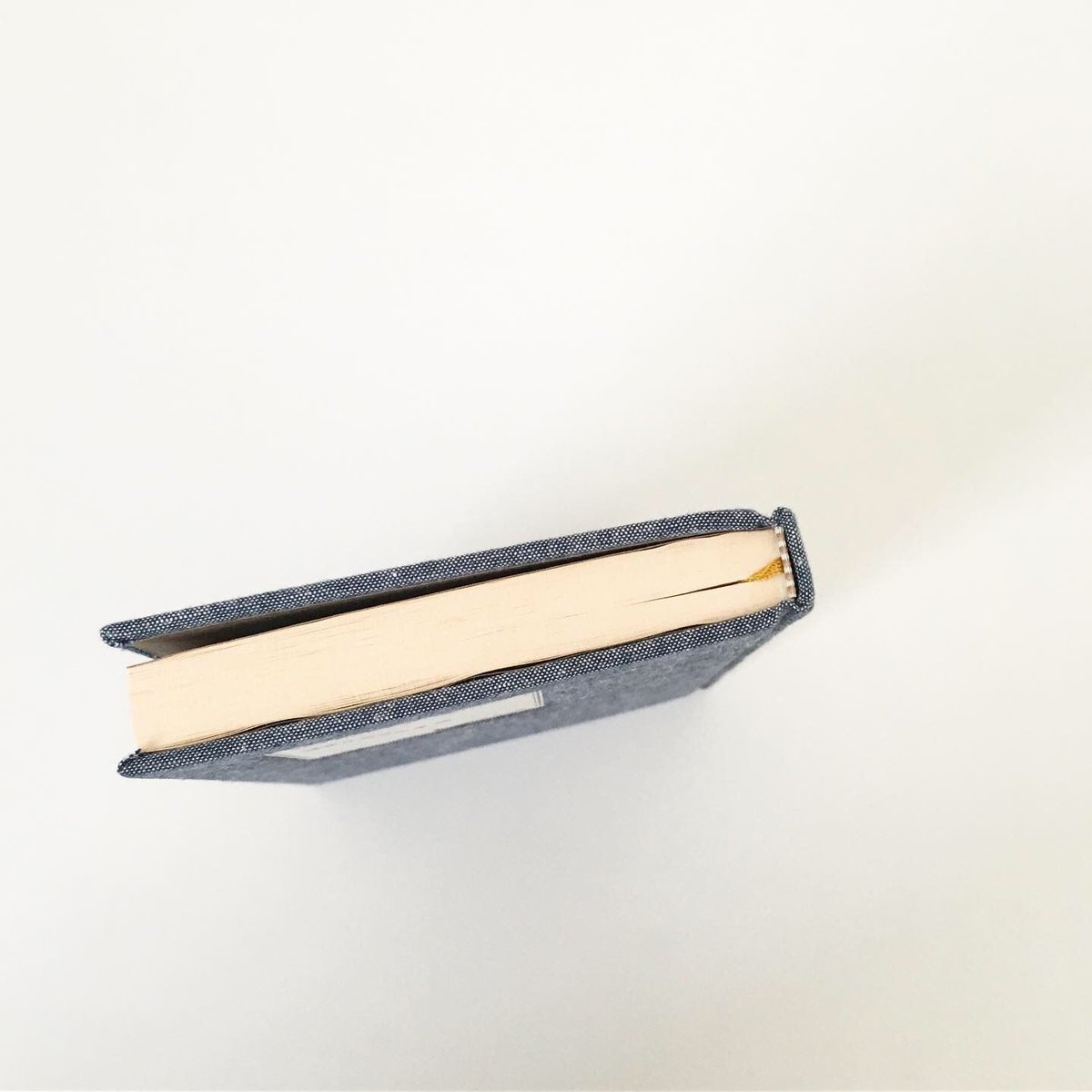 ONTO-ETHOLOGIES ブルット、ブキャナン 洋書 ハードカバー Amazon.co