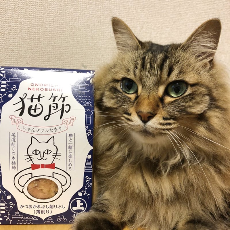猫ひた　小林希大　セット　出品価格　７５０円 猫ひた 小林希大 セット 出品価格 750円 猫のひたいほどワイド 小林