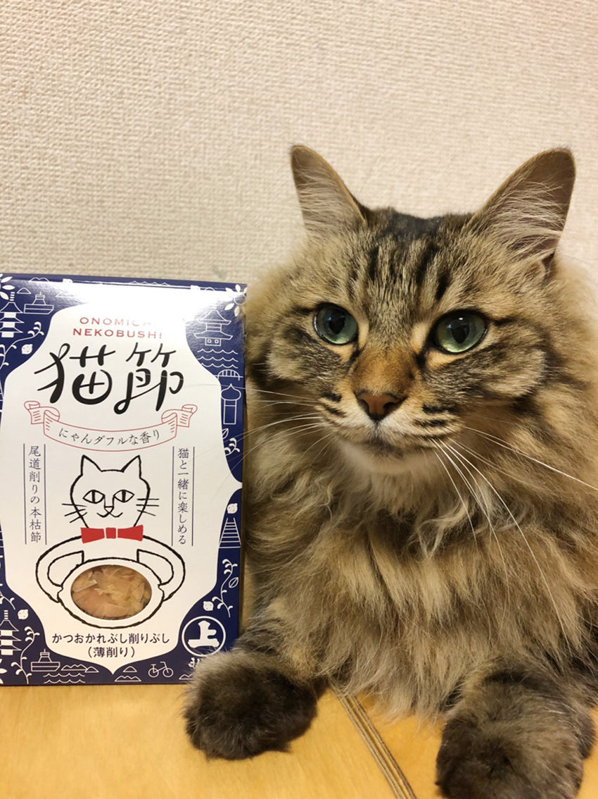 ONOMICHI 猫節 | marujyo's STORE