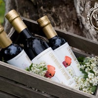 センテナリウム　500ml