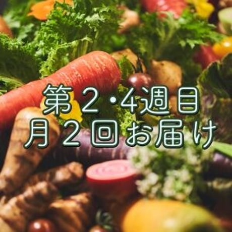 送料無料 月2回(第2•4週)お届け・八百屋みどりなす×Lisasお野菜定期便セット