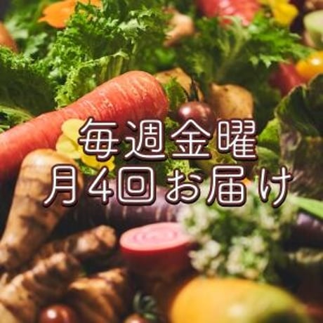 送料無料 月４回お届け・八百屋みどりなす×Lisasお野菜定期便セット