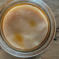 森のkombucha  - ワークショップ -