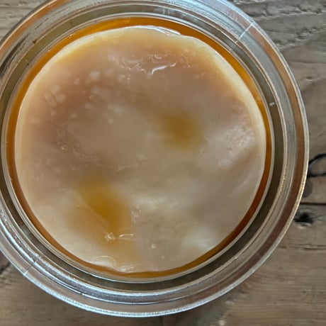 森のkombucha  - ワークショップ -