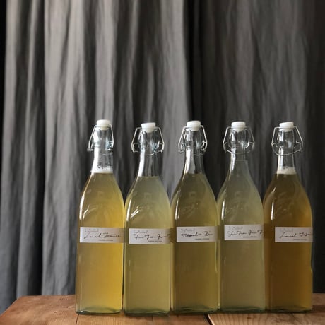 森のkombucha  - ワークショップ -