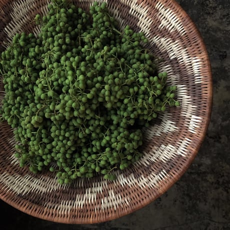 SANSHO GENOVESE
