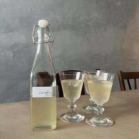 森のkombucha  - ワークショップ -