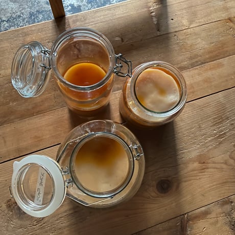 森のkombucha  - ワークショップ -