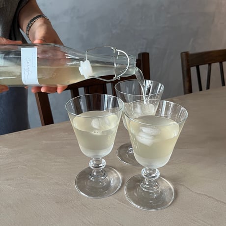 森のkombucha  - ワークショップ -