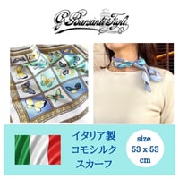 バルサンティ　イタリア製　コモシルクスカーフ　バタフライ ライトブルー　小判　50x50
