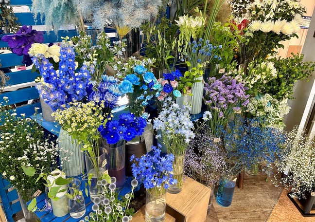 UTSUWA FLOWER ピアタ田町店