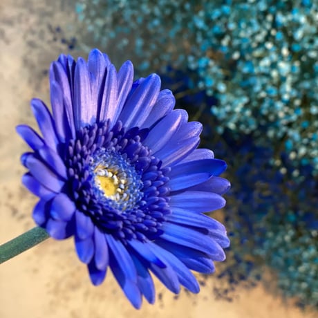 【決済専用】¥3,000（税込）※要事前問い合わせ