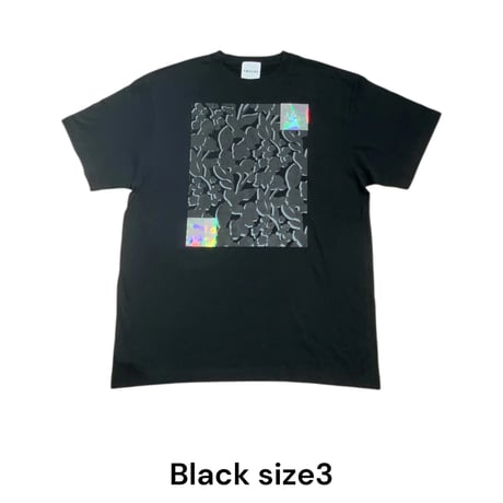 [TA-RE-006]quiet floral lame T-shirt　サイズ３