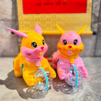 思ってる2倍はデカいウサギ