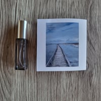 情景の香り「S」〜　N01（Tangy）