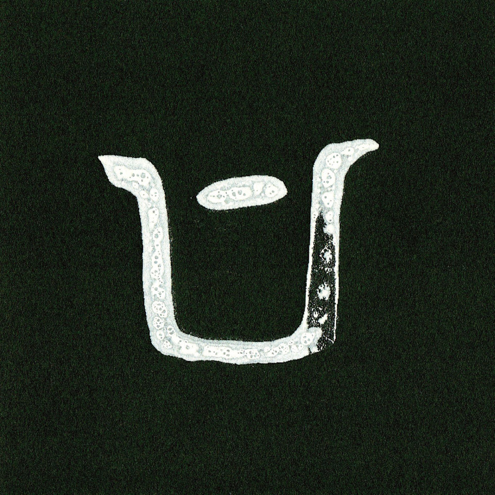 山本精一『Complicated sign』（CD-R） | Physical Fantasia