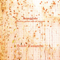 山本精一『Arpeggiate』（CD-R）