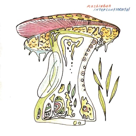 CATEGORY 羅針盤 | Physical Fantasia