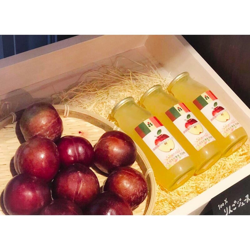 季節限定商品！プラム「ソルダム（LMサイズ混合）」2㎏ | くだもの農家