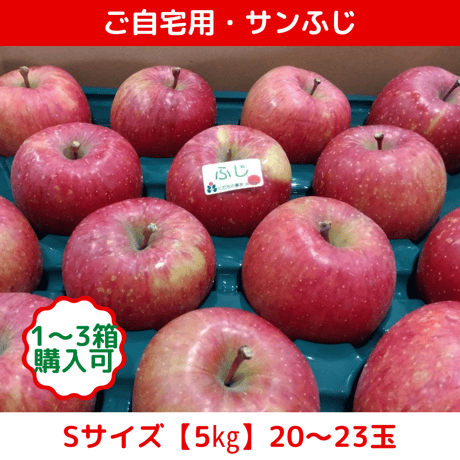 期間限定販売！りんご【サンふじ】『ご自宅用』【5㎏】《北海道壮瞥町産》
