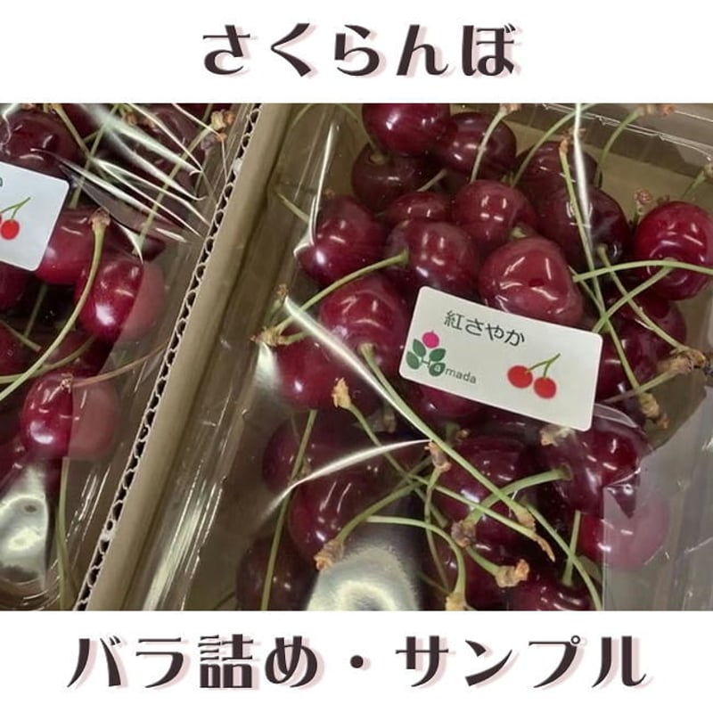 期間限定予約販売！さくらんぼ『紅さやか・Lサイズ（バラ詰め）』【1