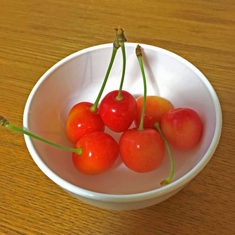 期間限定予約販売！さくらんぼ『南陽・3Lサイズ（バラ詰め）』【1㎏】《北海道壮瞥町産》