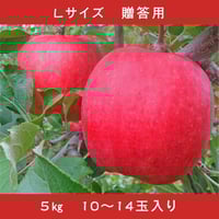 期間限定予約販売！りんご【早生ふじ種】『昂林・Lサイズ・10～14玉入り（贈答用）』【5㎏】《北海道壮瞥町産》