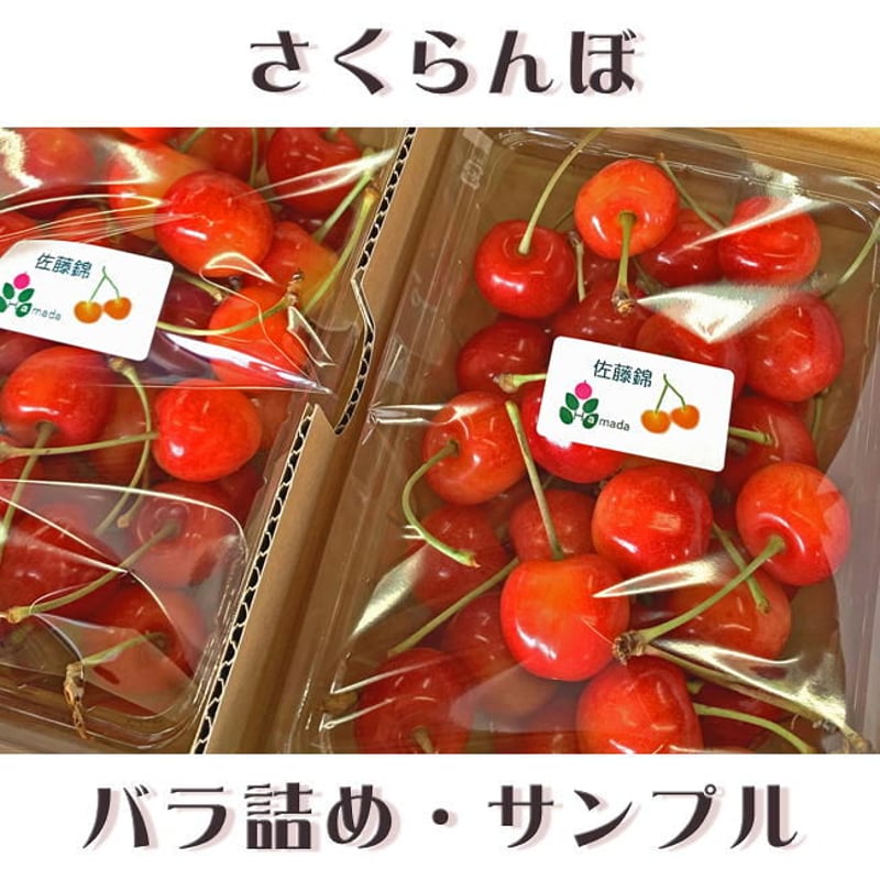期間限定予約販売！さくらんぼ『南陽・3Lサイズ（バラ詰め）』【1