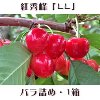 期間限定予約販売！さくらんぼ『紅秀峰・LLサイズ（バラ詰め）』【1㎏】《北海道壮瞥町産》